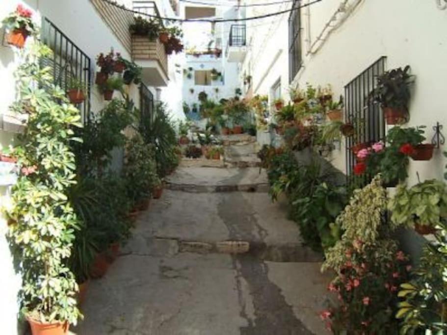 Boutique Style Apartment In Velez De Benaudalla - Near Salobrena Экстерьер фото